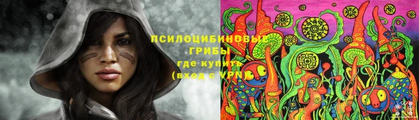 кокс Кукмор