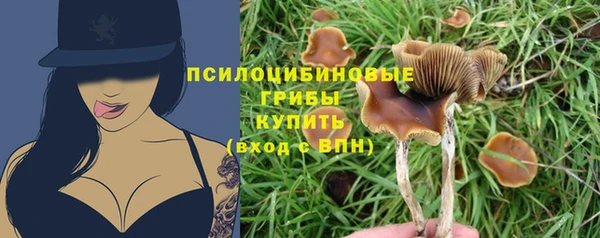 марки nbome Новодвинск