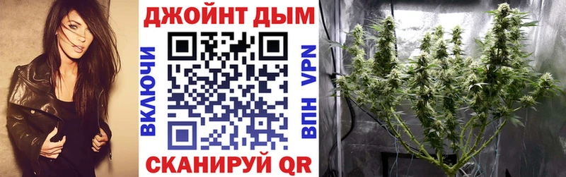 Марихуана план  Орехово-Зуево 